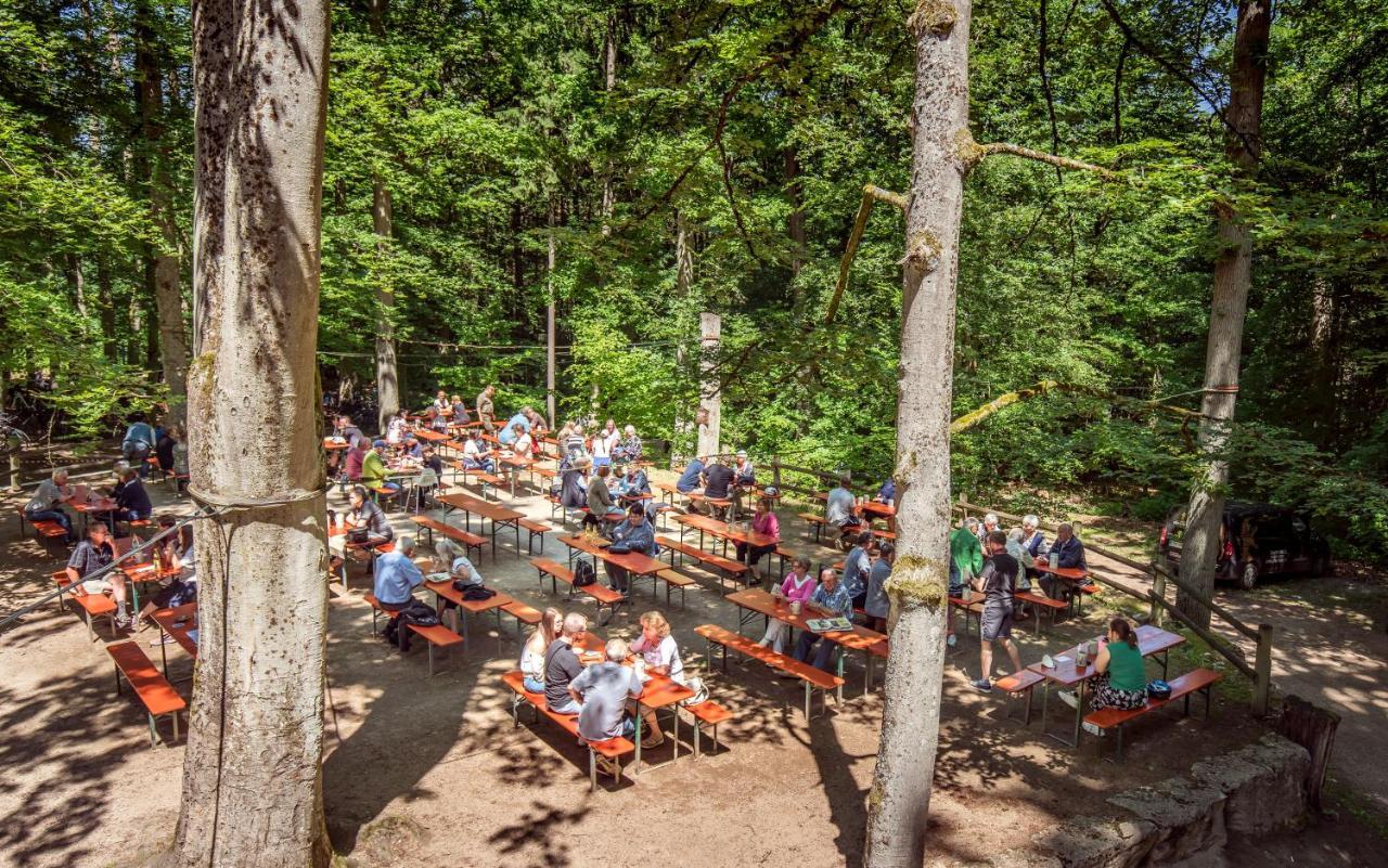 Brauereigasthof Zum Loewenbraeu Adelsdorf Εξωτερικό φωτογραφία